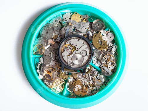 Preview: top view of disassembled watch in plate