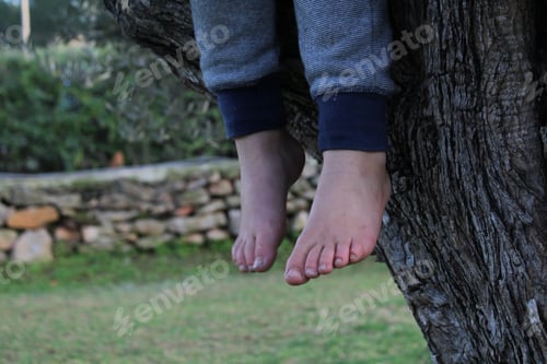 Child Climbs a Tree Outside Barefoot