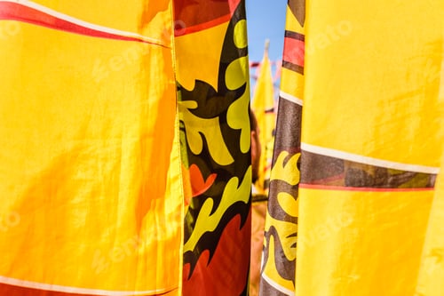 Preview: Flags of the brotherhood of Sbandieratori Di Fivizzano parading in a medieval festival.