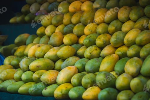 Preview: Fresh mangoes at the stall. Neatly arranged.