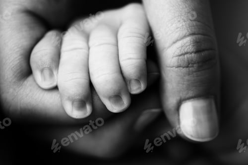 Preview: A newborn holds on to mom's, dad's finger. Hands of parents and baby close up.