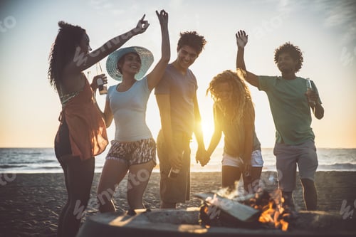 Preview: Group of friends having fun on the beach making a bonefire