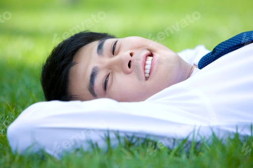 Preview: Businessman in the grass