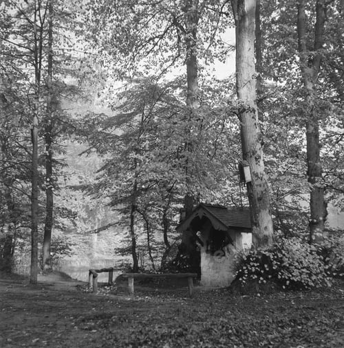 Preview: Small remote house in woods