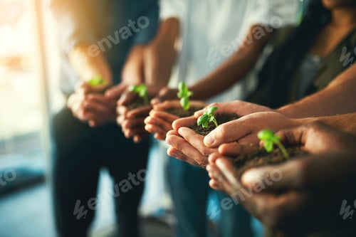 Preview: Lets grow together
