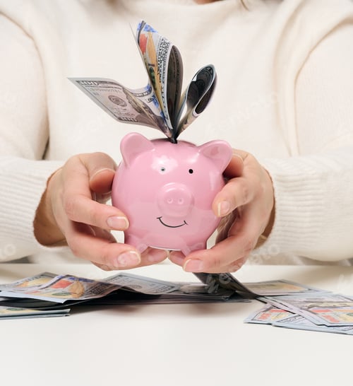 Preview: Woman holding pink ceramic piggy bank and paper american dollars. Wealth concept, bargain
