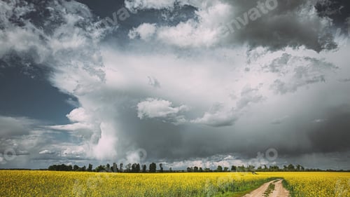 Preview: Dramatic Sky With Rain Clouds On Horizon Above Rural Landscape Canola Colza Rapeseed Field. Country