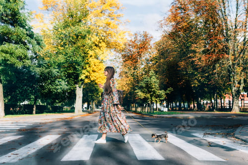 Preview: Young woman in sunglasses crossing the road with little puppy.
