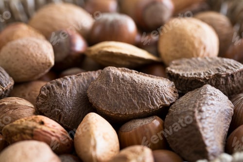 Preview: Mixed Nuts Close Up