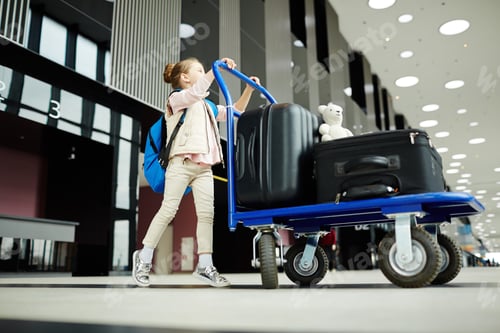Preview: Little traveler