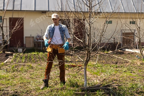 Preview: Portrait of young man pruning branch
