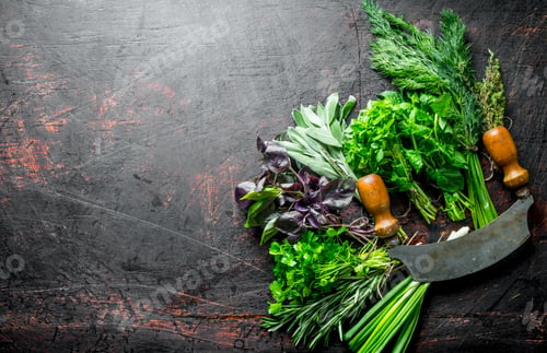 Preview: Healthy food. A variety of fresh herbs.