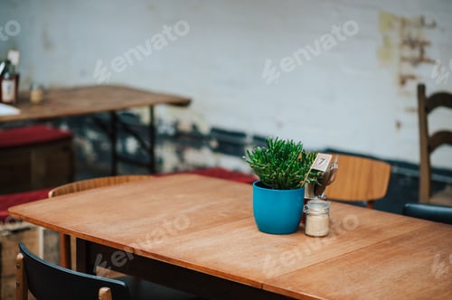 Preview: Closeup shot of a blue pot with a green plant and a jar of salt next to it at a cafe