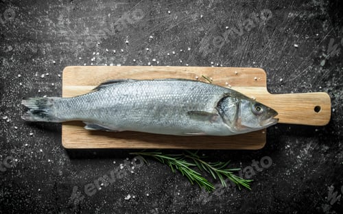 Preview: Raw fish seabass on cutting Board with rosemary.