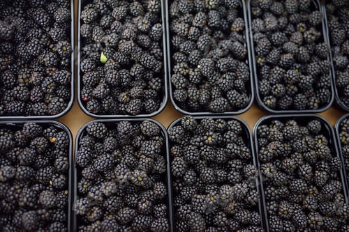 Preview: Fresh homegrown berries are at local farmer's market. Blackberry. Healthy vegetarian food.