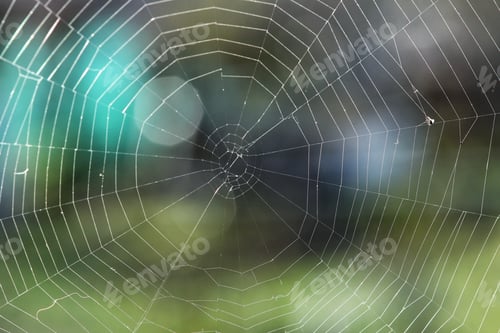 Preview: Closeup of a beautiful spider web with a blurry background