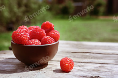 Preview: Fresh-picked summer raspberries in a bowl outdoors.