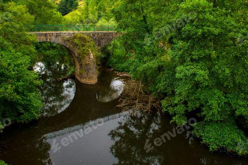 Preview: Tranquil river in green vegetation with aged bridge