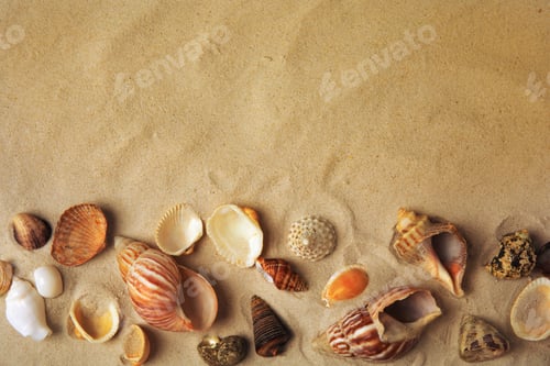 Preview: Different beautiful sea shells on sand, flat lay. Space for text