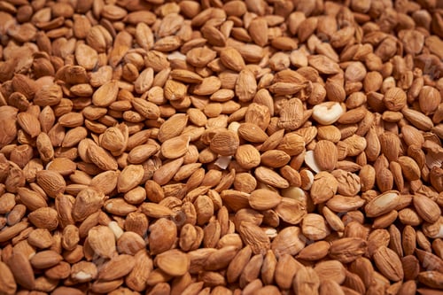 Preview: Dried Apricot Kernels background close up