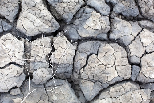 Preview: The texture of gray cracked earth, dried volcanic clay with cracks.