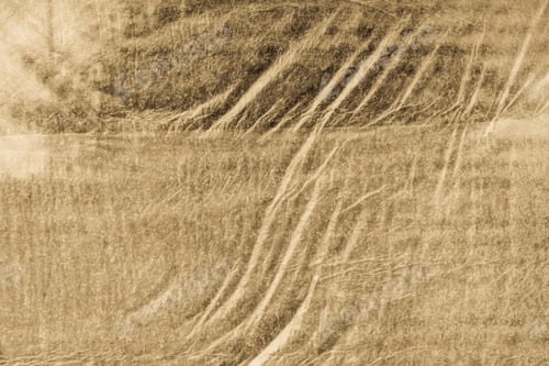 Preview: Abstract Texture For A Background Or For Wallpaper Of Color Sepia