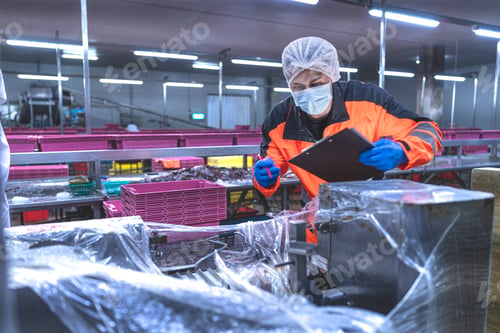 Preview: The research team inspected the seafood production line and machinery.