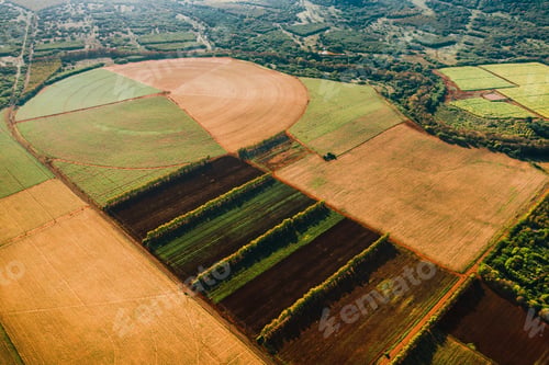 Preview: Aerial photography of round and rectangular fields located on the island of Mauritius