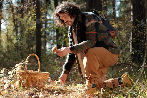 Preview: Young man standing on knee in the forest and looking at fresh porcini