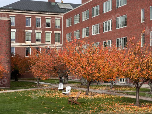 Preview: Brick building, surrounded by vibrant red and green foliage during the daytime