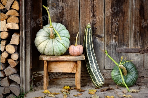 Preview: Different types of pumpkins near a wooden barn door