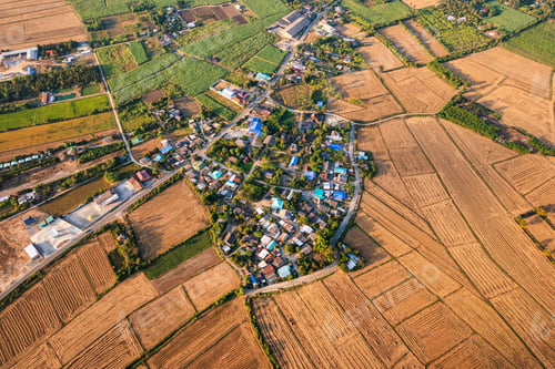 Preview: Suburban village among harvested paddy fields with thoroughfare in countryside