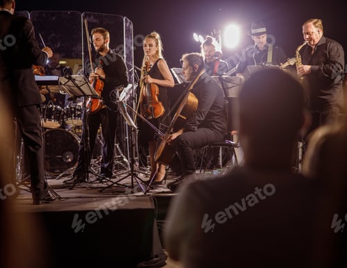 Preview: Musical ensemble performing live orchestra concert at night