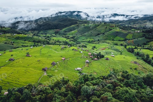 Preview: High angle view Green Rice field on terraced in Chiangmai