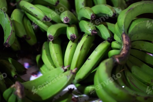Preview: Green bananas in the Indian market in Mauritius