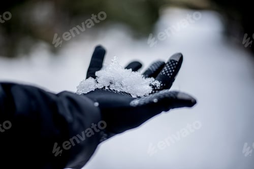 Preview: Snow