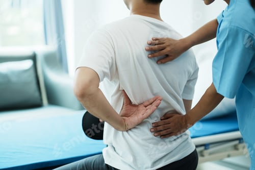 Preview: Doctor consulting with patient back problems physical therapy concept.