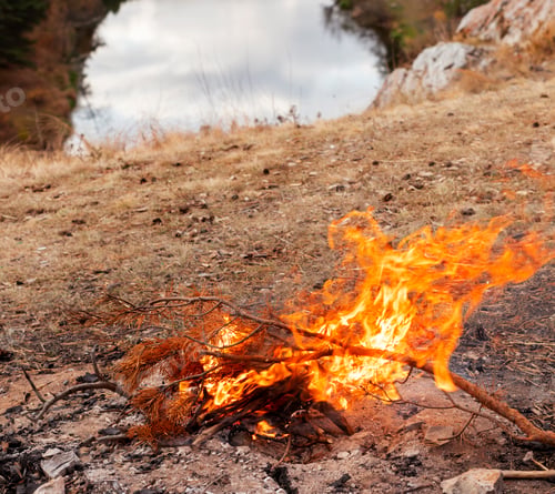 Preview: Bonfire burning against the background of dry grass and river in autumn Landscape