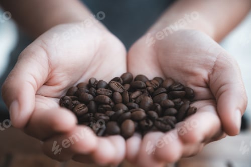 Vorschau: Nahaufnahme der Hände einer Frau, die Kaffeebohnen hält und zeigt