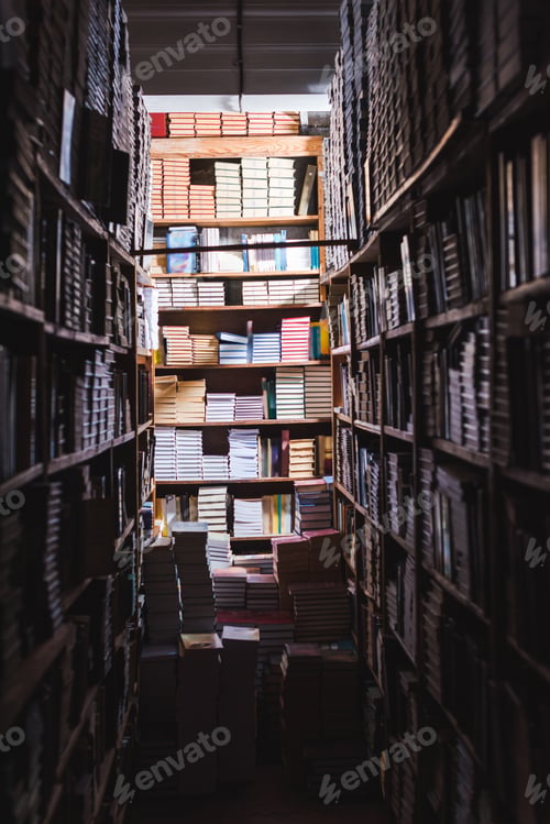 Preview: selective focus of books on wooden shelves in library