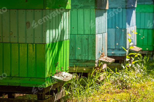 Preview: Unique beehives in a small village. Natural and ecological beekeeping.