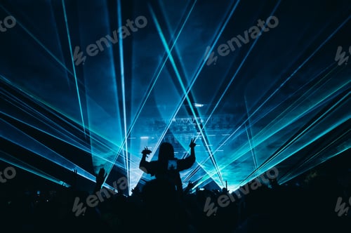 Preview: Concert crowd on a music concert