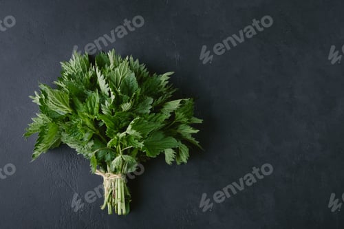 Preview: A bouquet of nettles on a dark background with copy space. Concept of broken love.