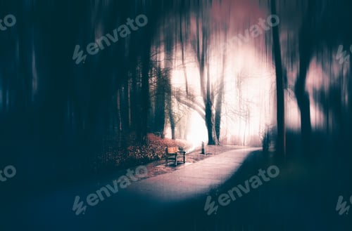Preview: Magic, mysterious forest with trees in fog. Halloween concept