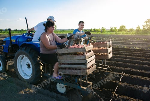 Preview: People on the tractor are planting potatoes.