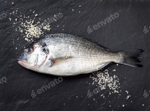 Preview: Fresh dorado fish