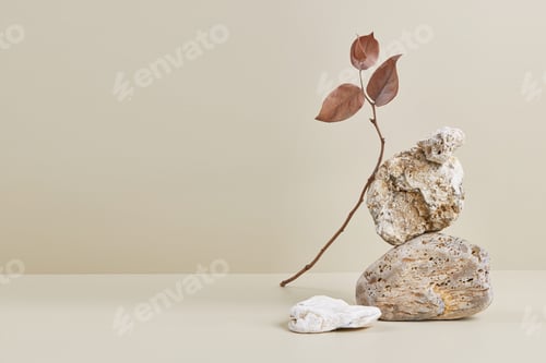Preview: Nature scene with composition of stones and dry branch