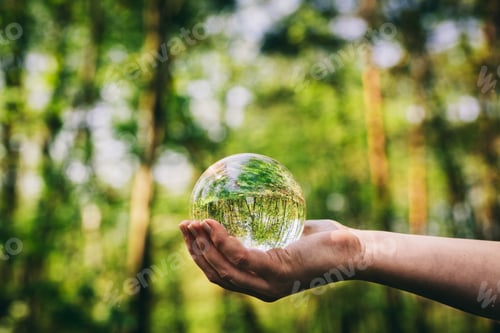 Preview: Woman's hand holding a glass sphere in the woods.