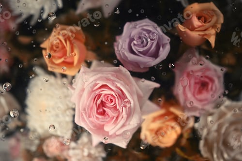 Preview: Plenty soft color roses under transparent glass with condensation drops texture.