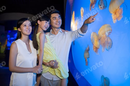 Preview: Young family in aquarium